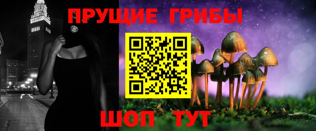 Галлюциногенные грибы Cubensis Ковров